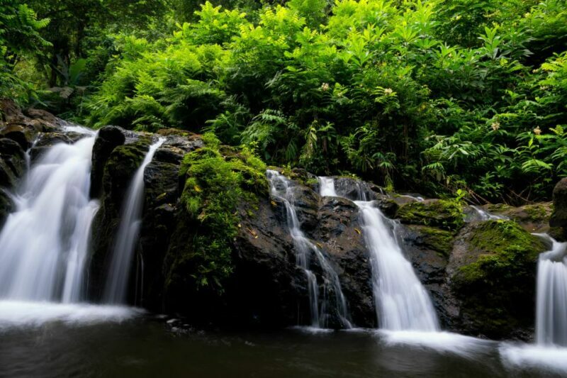 Northshore Maui: Guided Rainforest and Waterfall Walk - Ideal for
