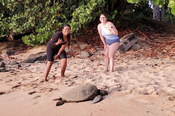Northshore Ocean Adventure and Circle Islandjeep Tour- Guaranteed to See Turtles - Group Size and Participation
