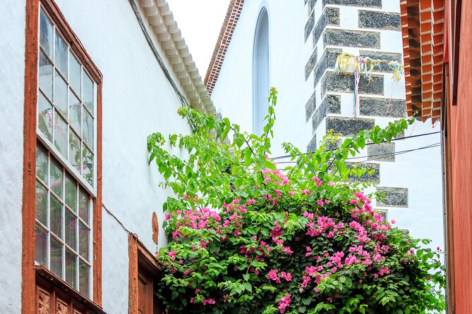 Northwest Tenerife Highlights Tour - Tour Start Time