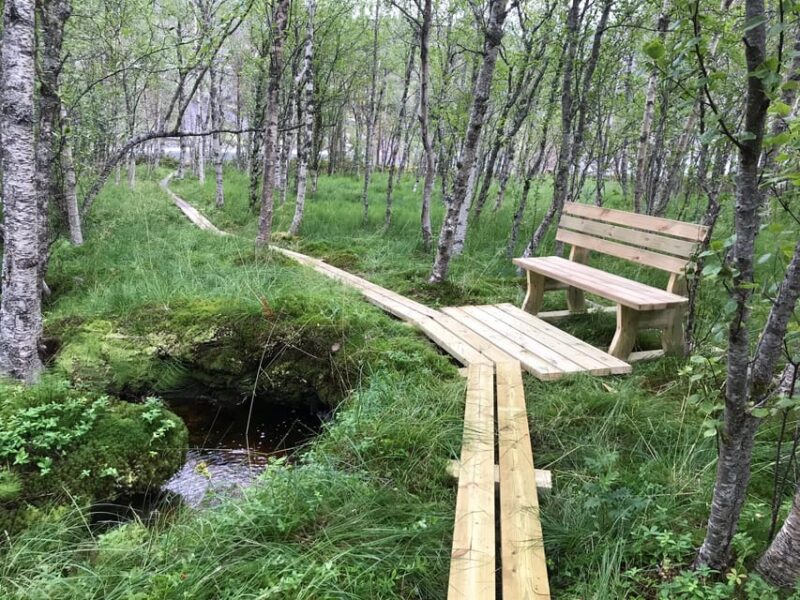 Norway: Experience Nature Through Sámi Eyes - Accommodation and Amenities