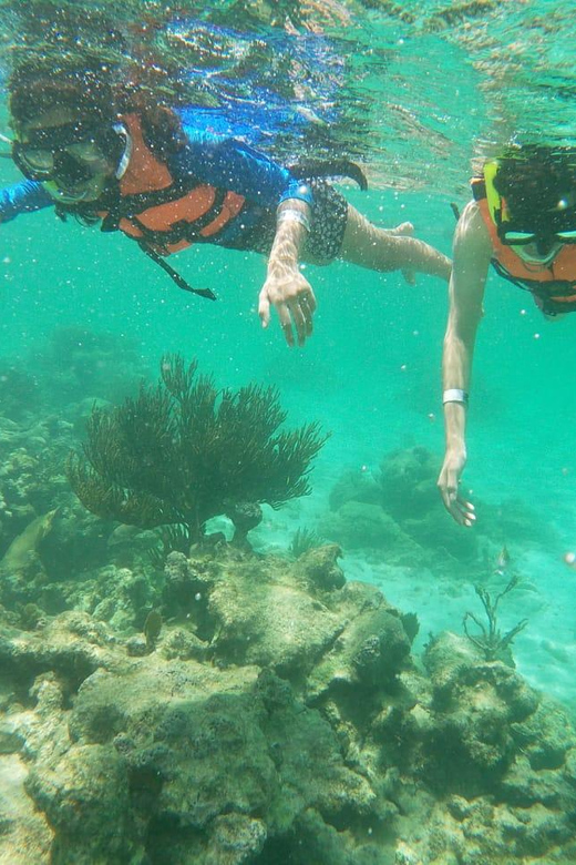 Not to Be Missed Tour; Snorkeling, Turtles and Photos. - Experience Details