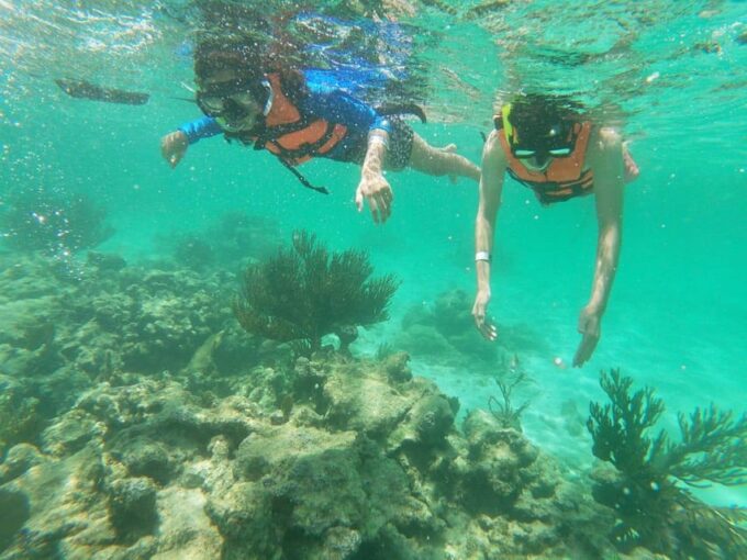 Not to Be Missed Tour; Snorkeling, Turtles and Photos. - Snorkeling in Akumal