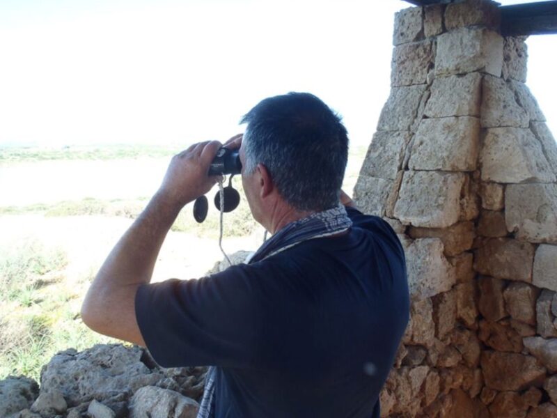 Noto: Guided Trekking and Birdwatching at Vendicari Reserve - Key Points