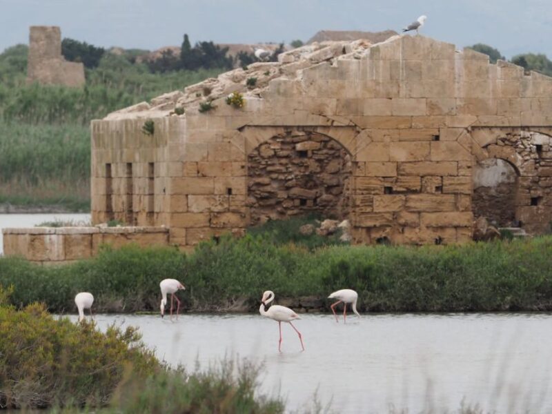 Noto: Guided Trekking and Birdwatching at Vendicari Reserve - Natural Significance