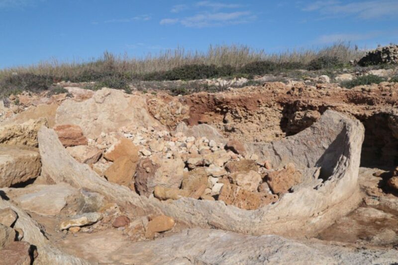 Noto: Guided Trekking and Birdwatching at Vendicari Reserve - Frequently Asked Questions