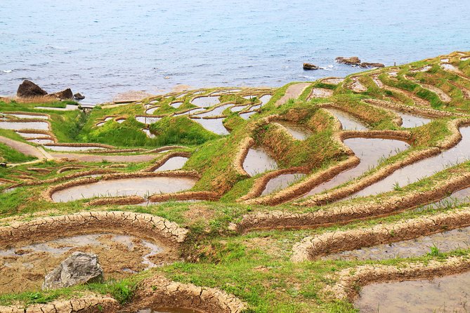 Noto Peninsula 1 Day Photoshoot With Professional Photographer - Wajima Morning Market Exploration