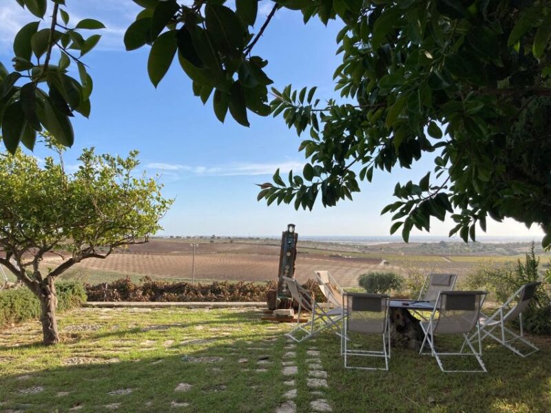 Noto: Wine Tasting and Estate Tour With Local Products - Guided Estate Tour