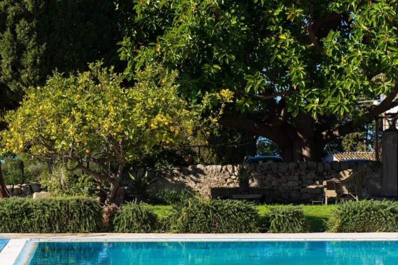Noto: Wine Tasting and Estate Tour With Local Products - Frequently Asked Questions