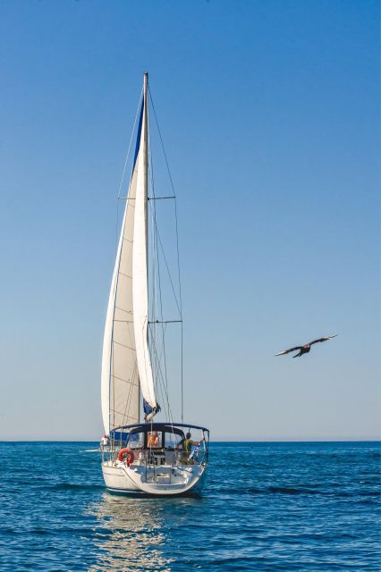 Notos Half-Day Cruise - Packing Recommendations