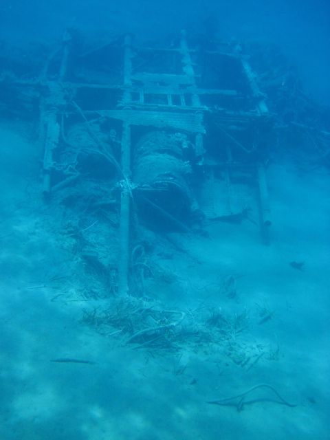 Notos Half-Day Cruise - Accessibility and Health Considerations