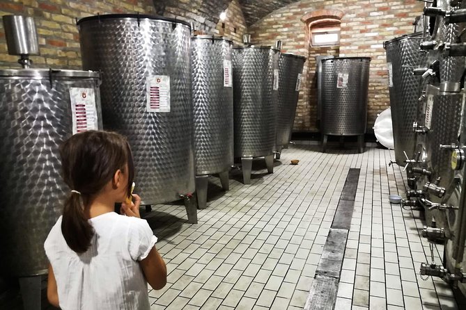 Novi Sad Saturday Full Day Trip - Reviews and Feedback