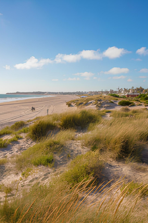 Novo Sancti Petri: Seville Airport Transfers - Travel Experience