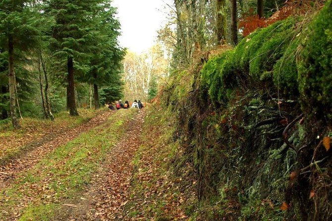 Nozzle Horn Protected Landscape Area - Highlights of the Protected Landscape