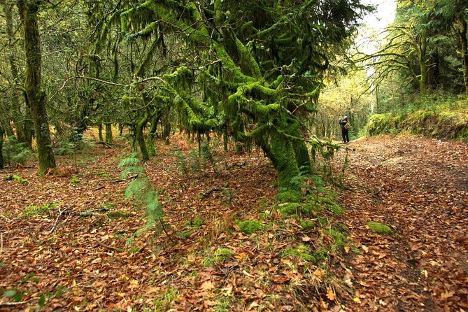 Nozzle Horn Protected Landscape Area - Nearby Attractions and Day Trips