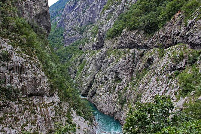 NP Biogradska Gora and Canyon Moraca (Private Tour) - Inclusions
