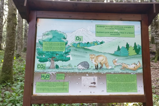 NP Biogradska Gora and Canyon Moraca (Private Tour) - Visit Jaz Beach