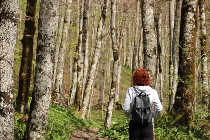 NP Biogradska Gora and Canyon Moraca (Private Tour) - Explore Moraca Canyon