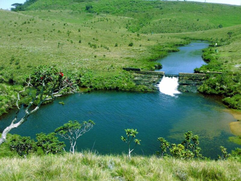Nuawara Eliya: Horton Plains and Tea All-Inclusive Tour - Itinerary Highlights