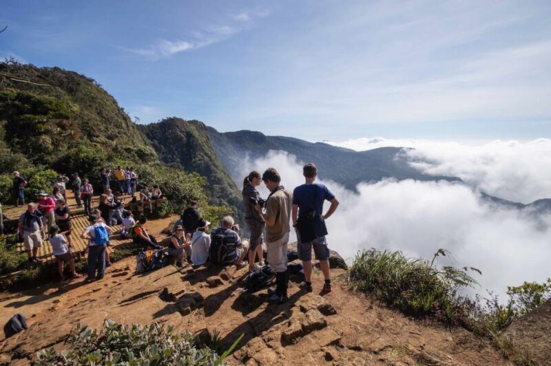 Nuawara Eliya: Horton Plains and Tea All-Inclusive Tour - Tea Industry Facts