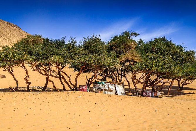 Nubian Village by Motorboat In Aswan - Experiencing Nubian Traditions