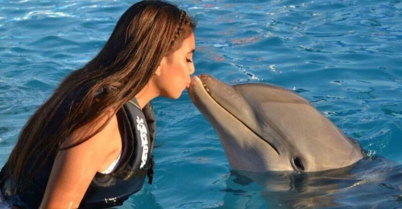 Nuevo Vallarta: Dolphin Experience at Splash Water Park - Key Points