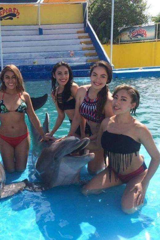 Nuevo Vallarta: Dolphin Experience at Splash Water Park - Pricing and Reservation