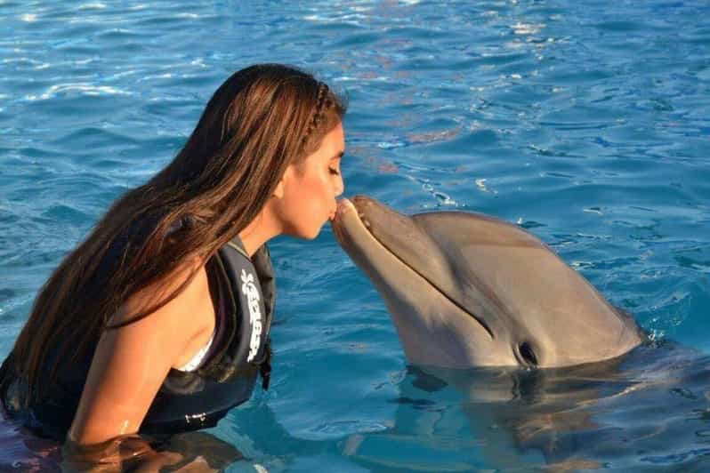 Nuevo Vallarta: Dolphin Experience at Splash Water Park - Dolphin Experience Details