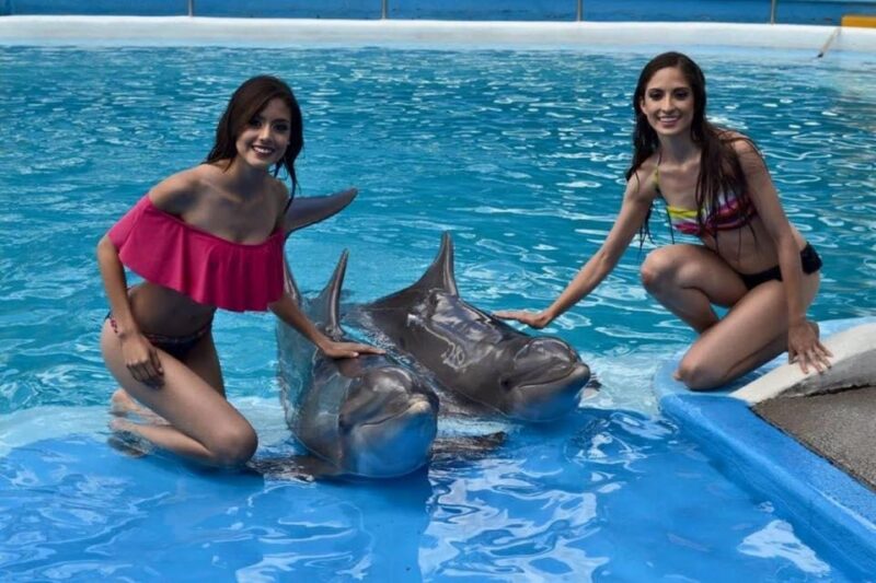 Nuevo Vallarta: Dolphin Experience at Splash Water Park - Amenities and Directions