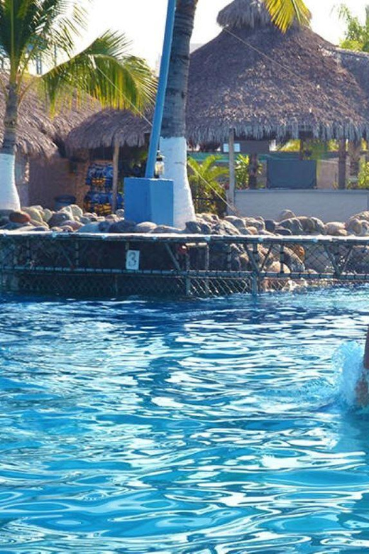 Nuevo Vallarta: Dolphin Royal Swim at Aquaventuras Park - Dolphin Interaction Experience