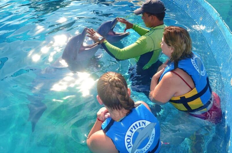 Nuevo Vallarta: Dolphin Royal Swim at Aquaventuras Park - Key Highlights