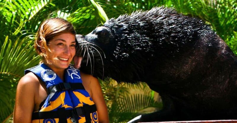 Nuevo Vallarta: Sea Lion Discovery at Aquaventuras Park - Pricing and Duration