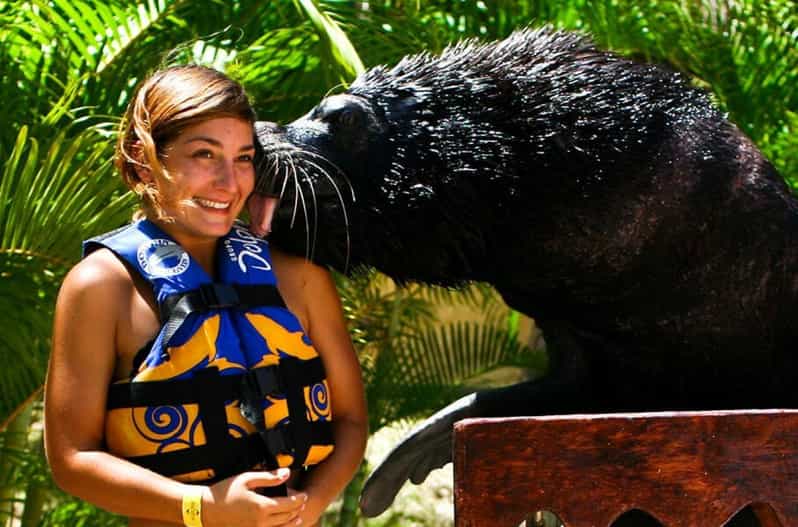 Nuevo Vallarta: Sea Lion Discovery at Aquaventuras Park - Language and Group Size