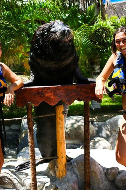 Nuevo Vallarta: Sea Lion Discovery at Aquaventuras Park - Interactive Experience