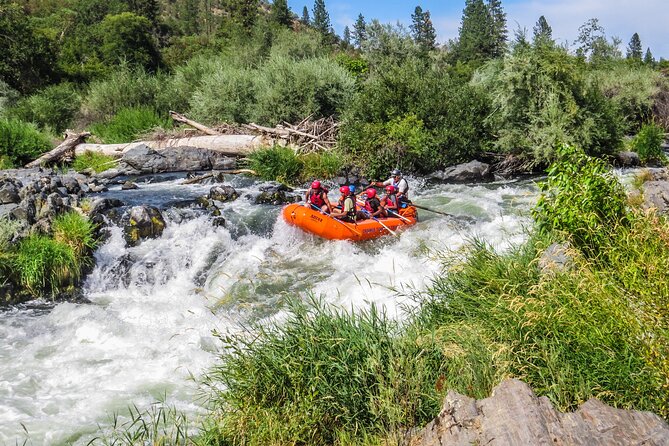 Nugget Falls Class IV Half-Day Rafting on the Rogue River - Guided Experience