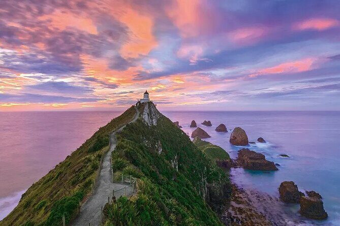 Nugget Point and Cathedral Caves Private Tour from Dunedin - An In-Depth Look at the Experience