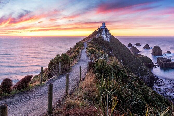 Nugget Point and Cathedral Caves Private Tour from Dunedin - FAQ