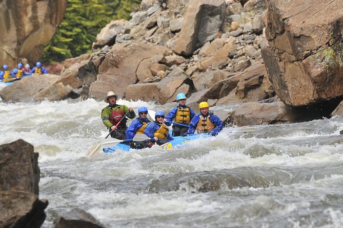 Numbers Half-Day Whitewater Rafting From Buena Vista - Key Points