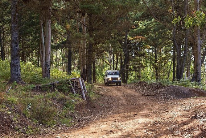 Nuns Valley & Sea Cliff - Half Day Jeep Tours - Additional Information