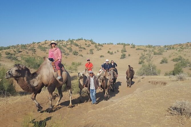 Nurata Mountain & Kyzyl-kum Desert 3 Day Tour From Samarkand or Bukhara - Key Points