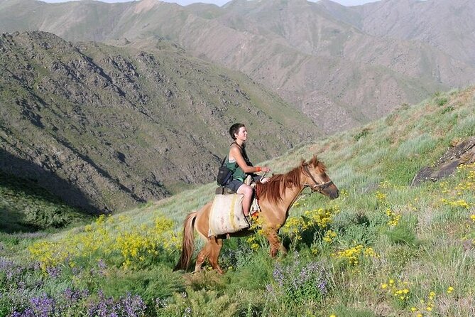Nurata Mountain & Kyzyl-kum Desert 3 Day Tour From Samarkand or Bukhara - Exploring Nurata Mountains