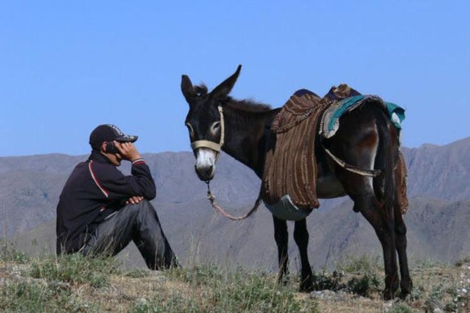 Nuratau Home Stay Observe and Live the Uzbek Rural Life - Highlights of the Itinerary
