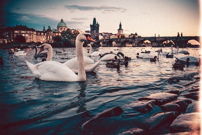 Nuremberg to Prague - Private Transfer With 2 Hours of Sightseeing - Discovering Prague