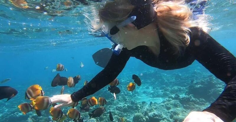Nusa Dua Amazing Snorkeling Free Pick Up - Customer Reviews