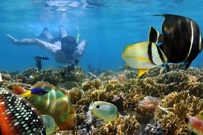 Nusa Dua Amazing Snorkeling Free Pick Up - Environmental Concerns