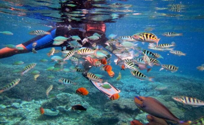 Nusa Dua Amazing Snorkeling Free Pick Up - Frequently Asked Questions