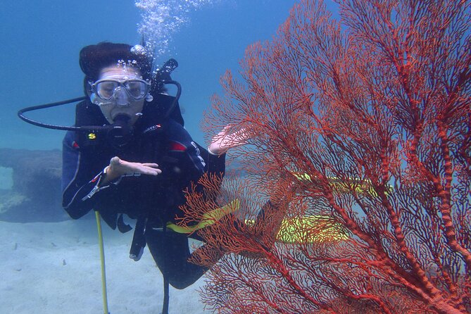 Nusa Dua Marine Parasailing Adventure,Tubing Ride and Diving Experience - Key Points