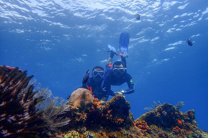 Nusa Dua Marine Parasailing Adventure,Tubing Ride and Diving Experience - Traveler Reviews and Feedback