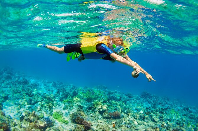 Nusa Lembongan Island: Snorkeling & Mangrove Forest Day Tour - Tour Inclusions