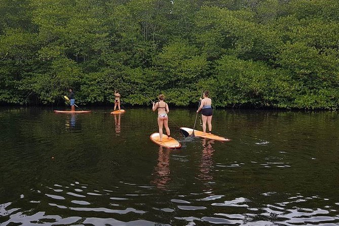 Nusa Lembongan Mangrove Kayaking or SUP With Local Transfers - Pickup and Dropoff Arrangements