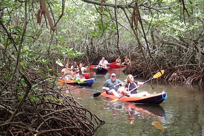 Nusa Lembongan Mangrove Kayaking or SUP With Local Transfers - Recommended Additional Activities